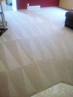 sharp carpet cleaning services residential home