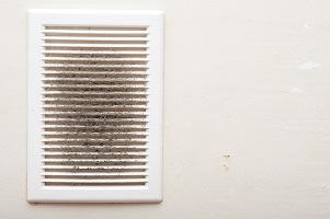 Should You Have An Air Duct Cleaning This Winter?