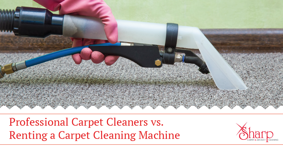 "Professional Carpet Cleaners vs. Renting a Carpet Cleaning Machine