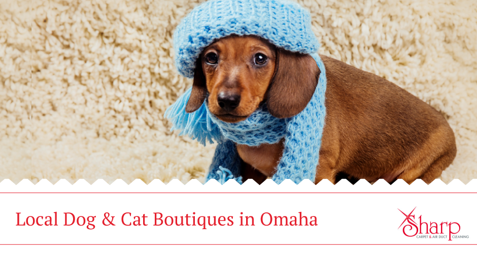 Guide to Local Pet Stores in Omaha