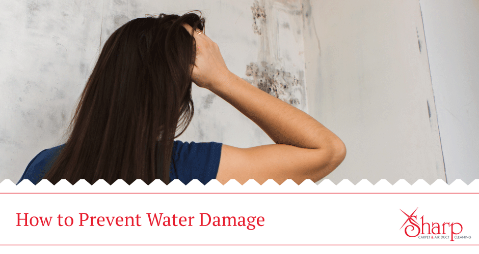 Water Damage Tips: How to Prevent & Protect Your Carpet