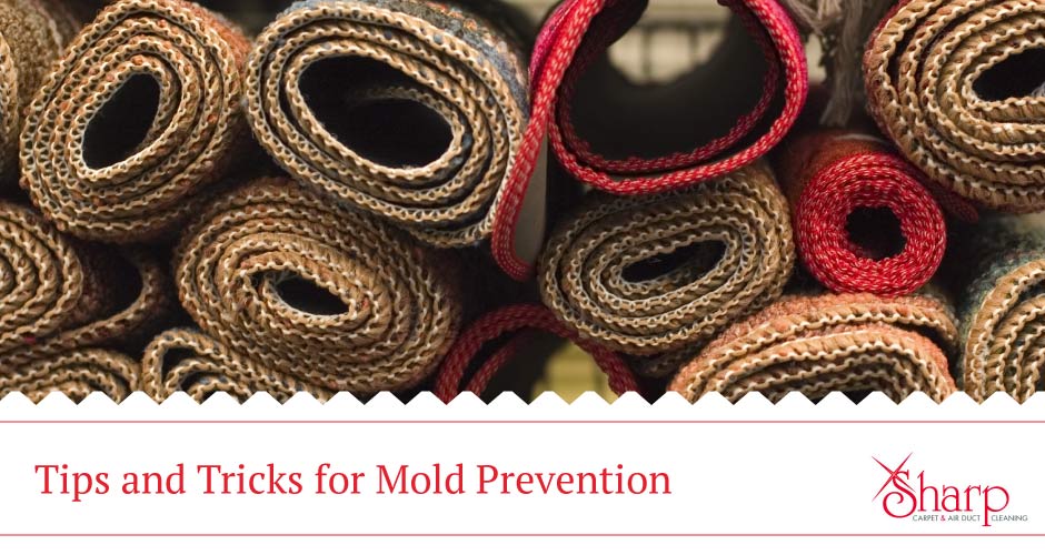 How to Prevent Mold Sharp Carpet & Air Duct Cleaning