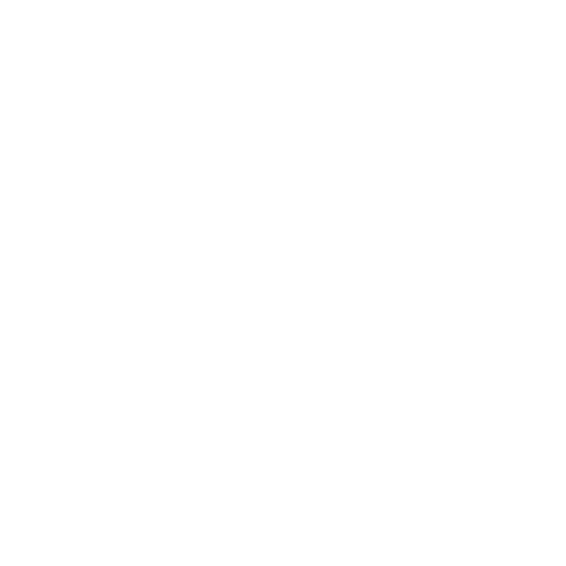 Dust Icon