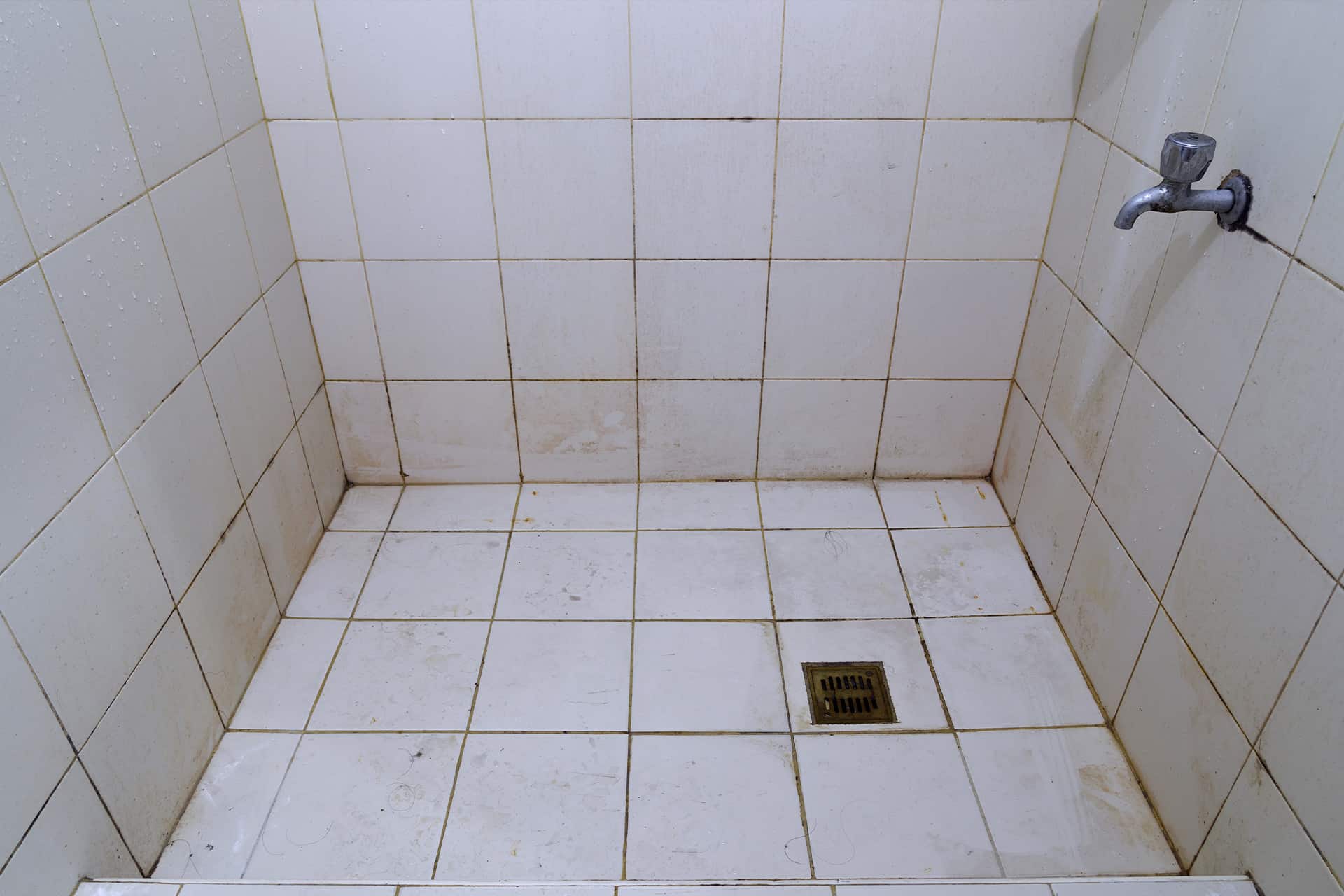 Stained and Moldy Bathroom Tile Stained and Moldy Bathroom Tile
